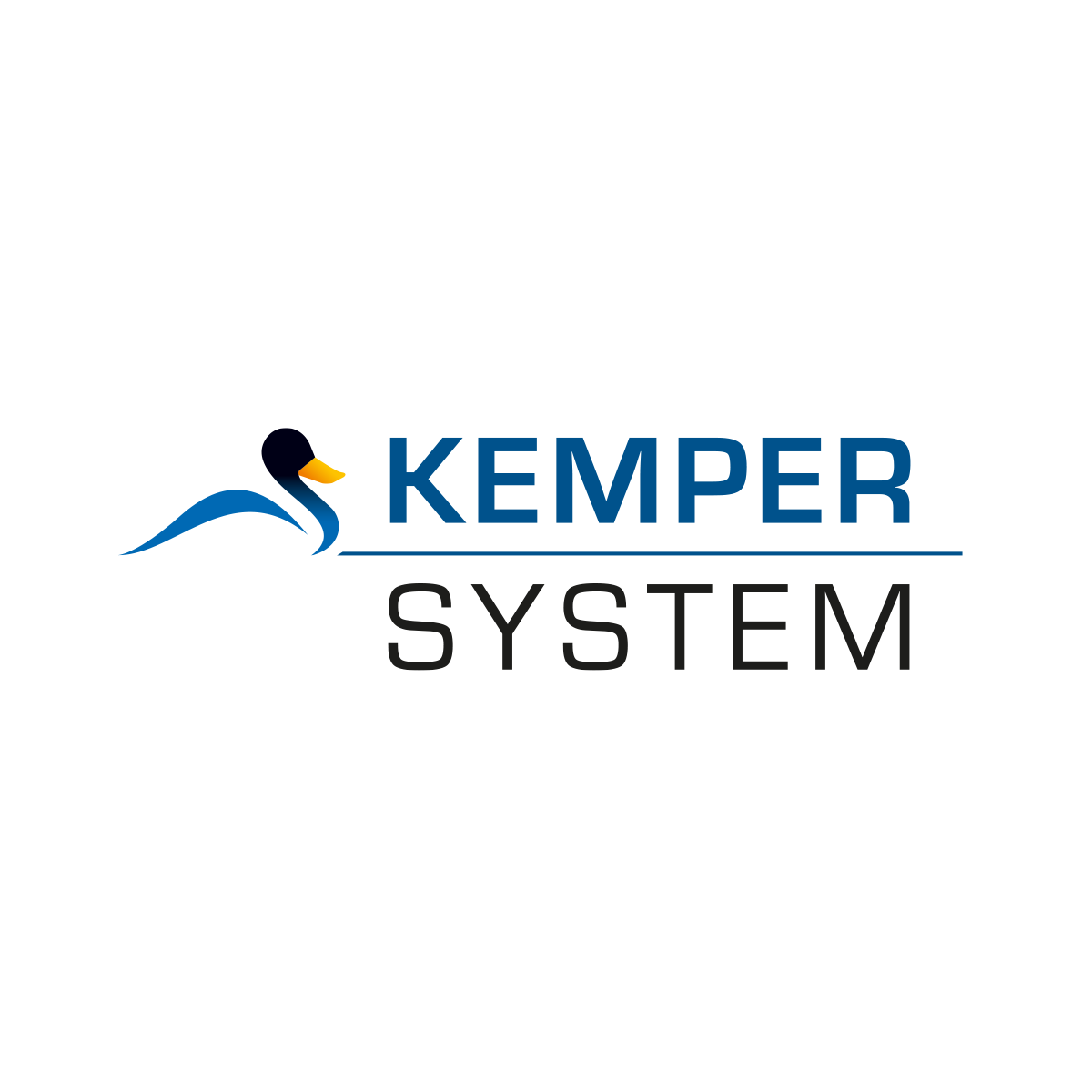 Kemper System GmbH & Co. KG