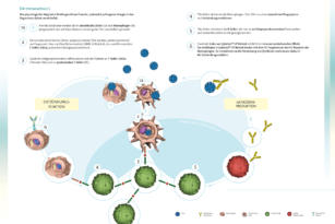 Biotest – Besprechungsunterlagen Cytotect