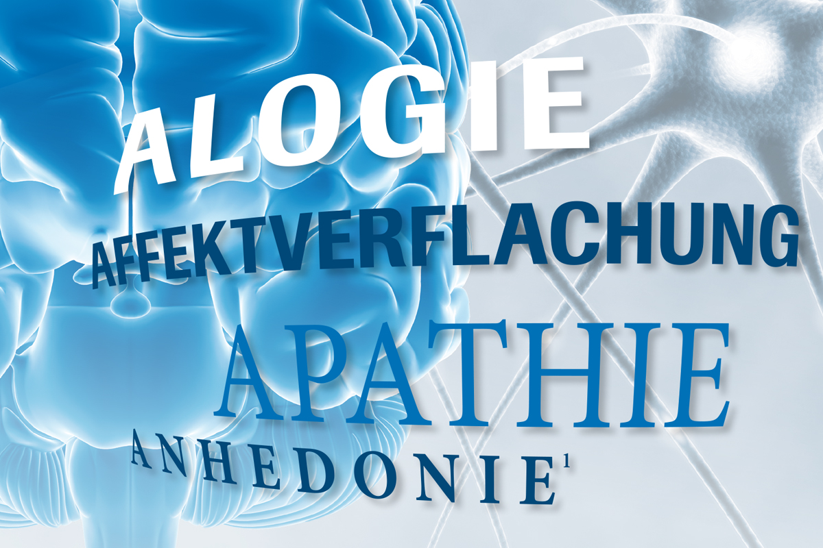 Roche – Broschüre Schizophrenie